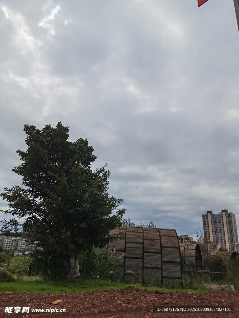 田野旁的树木与建筑