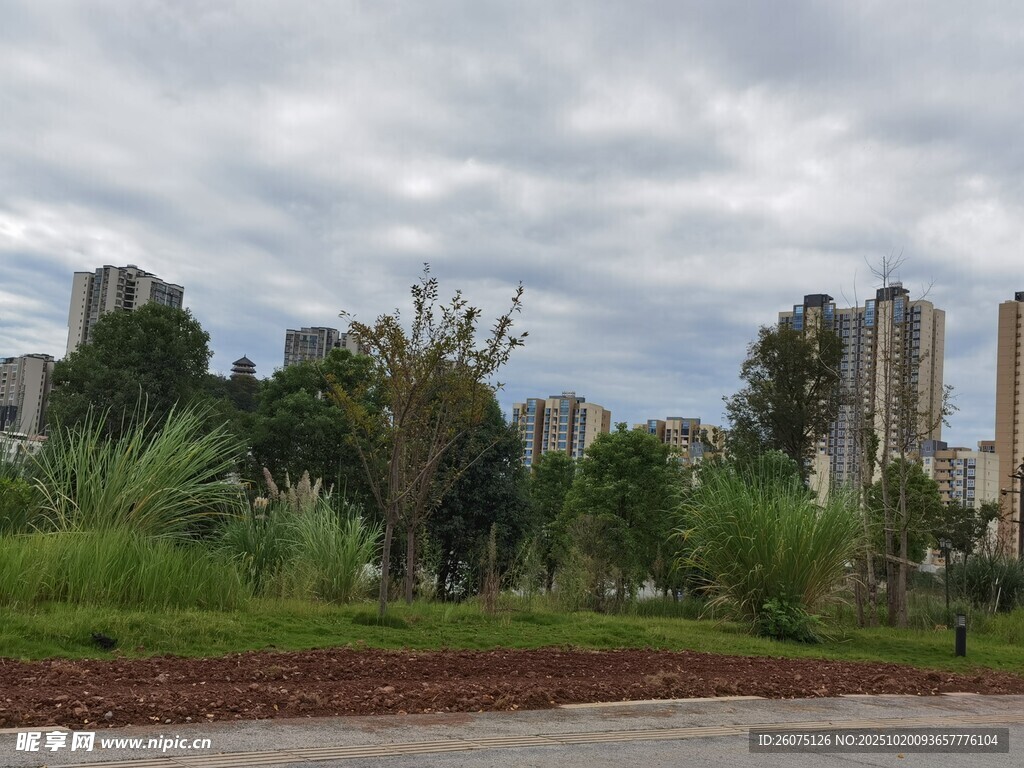 城市旁绿意盎然的户外景致