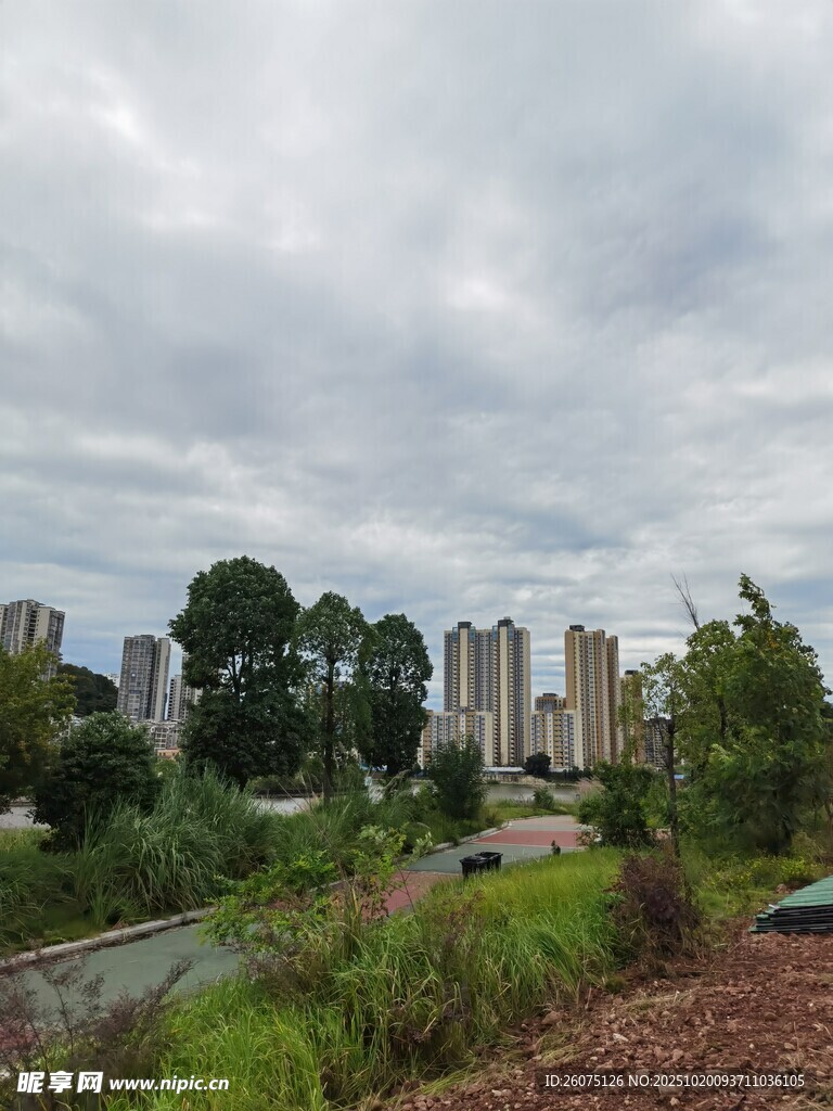 城市远景与绿植景观