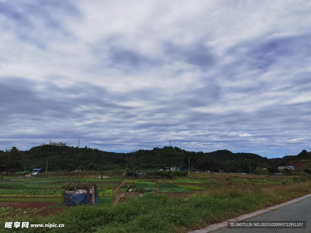 乡村公路旁的开阔田园风光