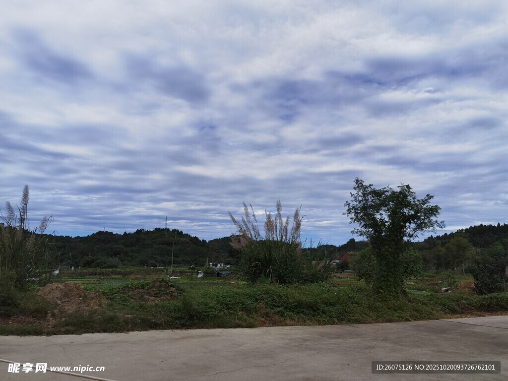 乡村公路边的开阔风景