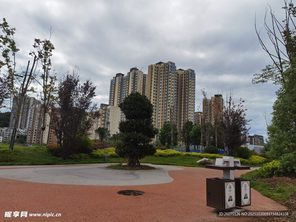 城市公园中的高楼与绿化景观