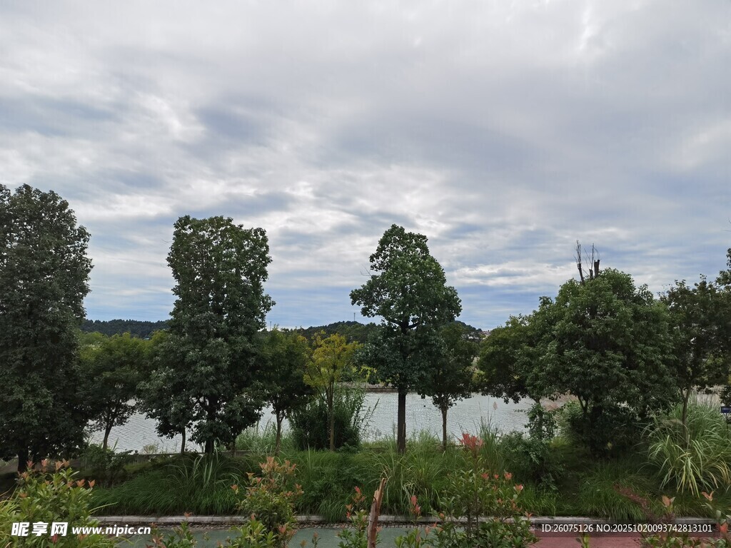 湖畔绿树成荫的自然景致