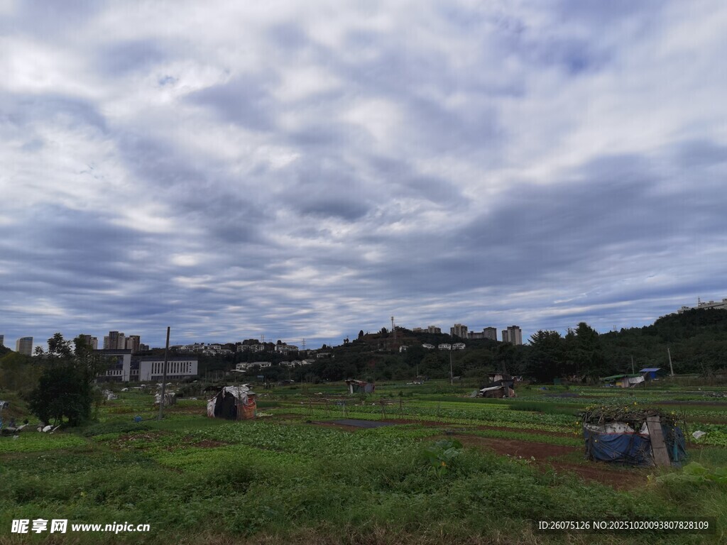 乡村田野的开阔景致