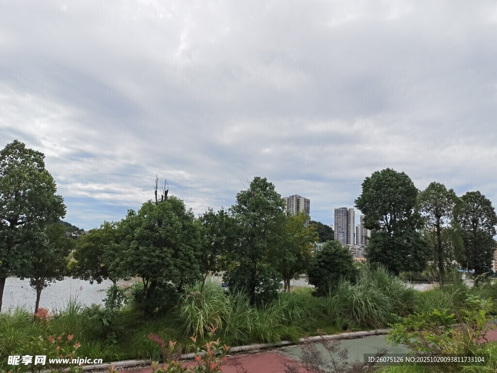 城郊绿植景观