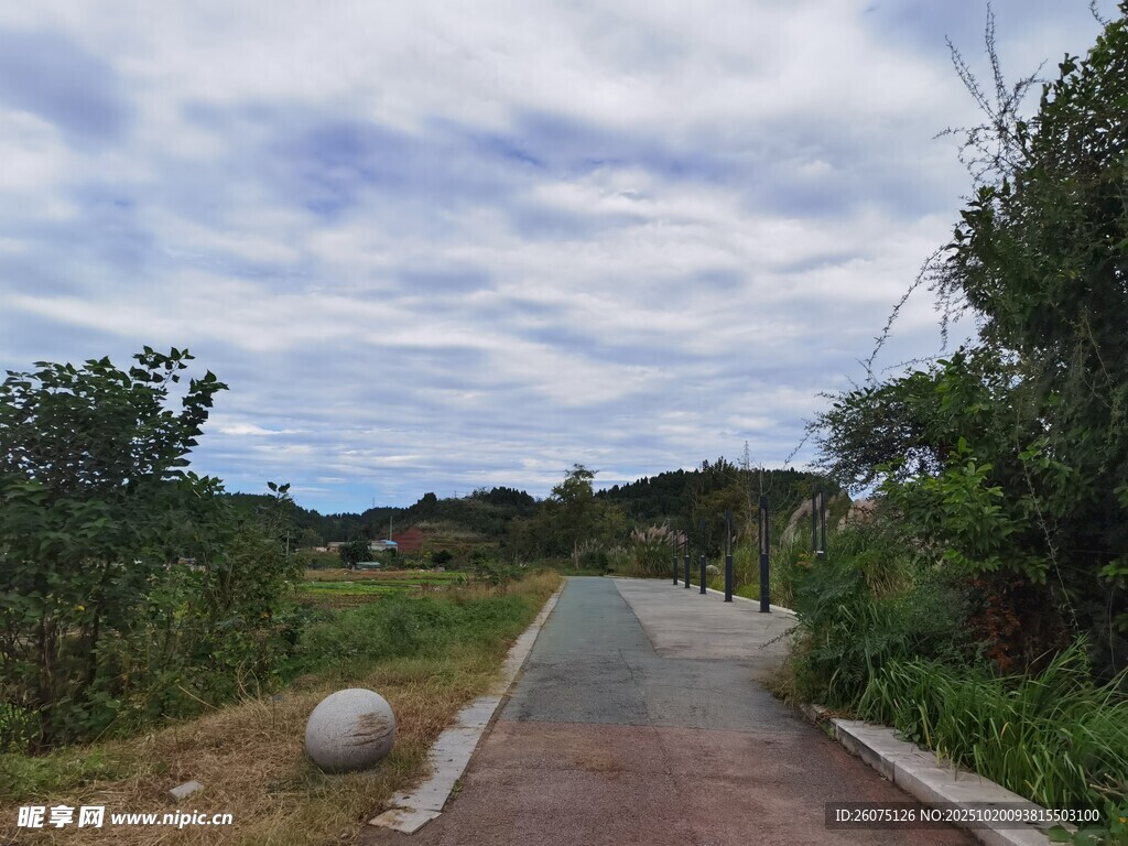 乡间小路旁的绿意风景