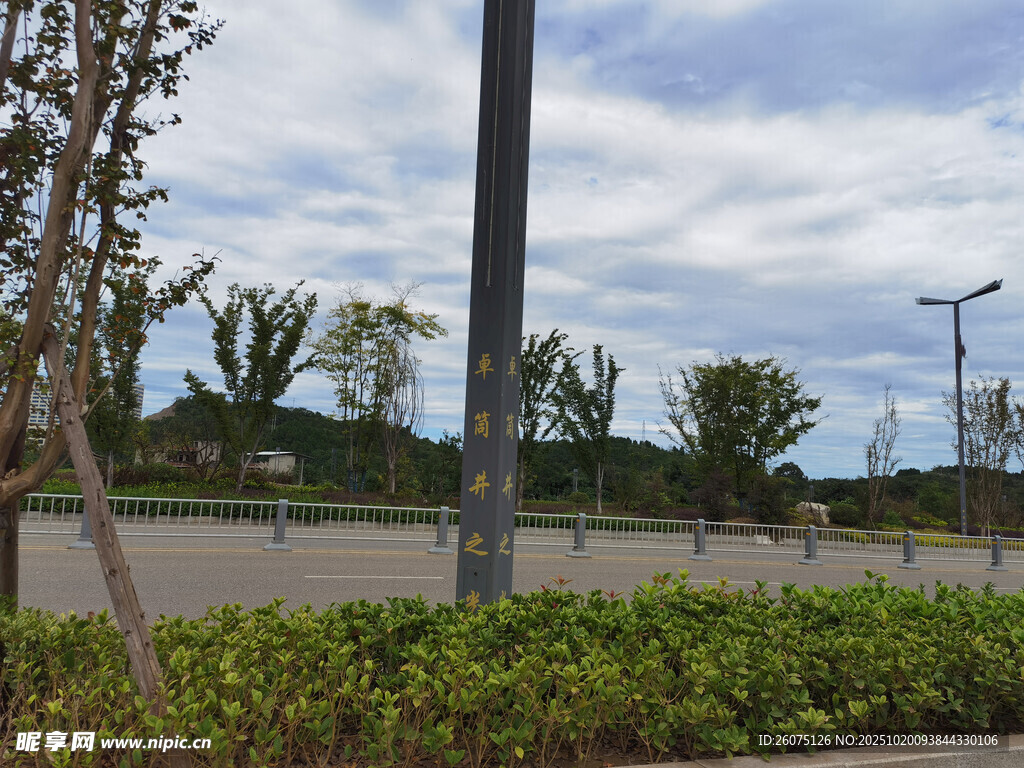 户外道路旁绿植与路灯景观