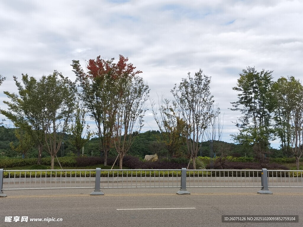 户外绿树环绕的开阔场景