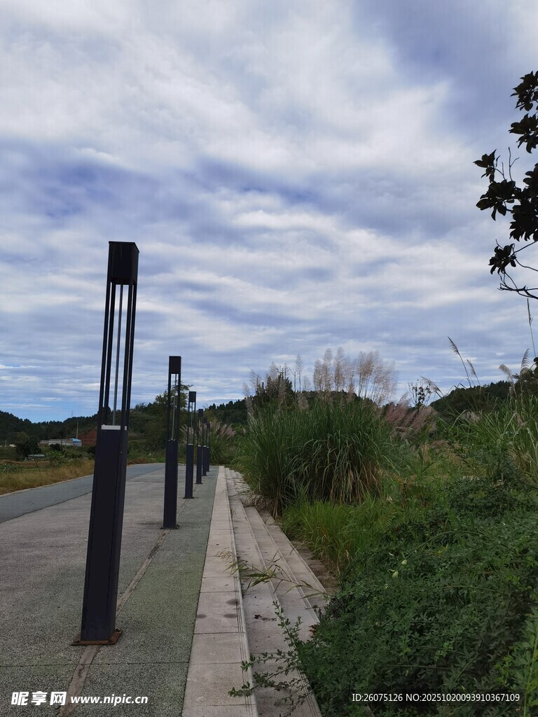 户外道路旁的路灯与绿植