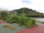 河畔绿植环绕的多彩步道