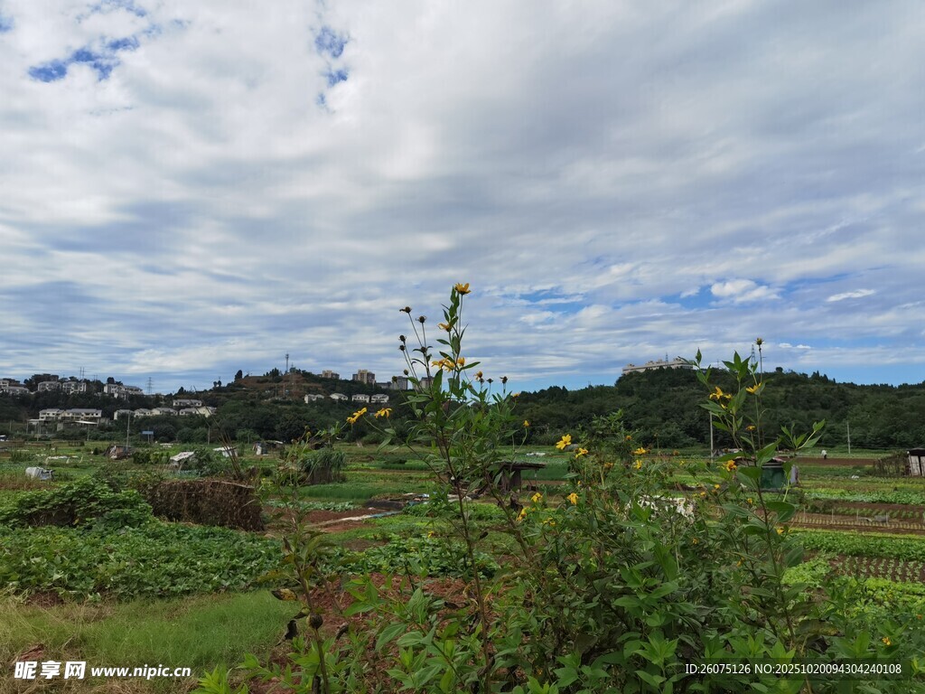 乡村田野风光美景
