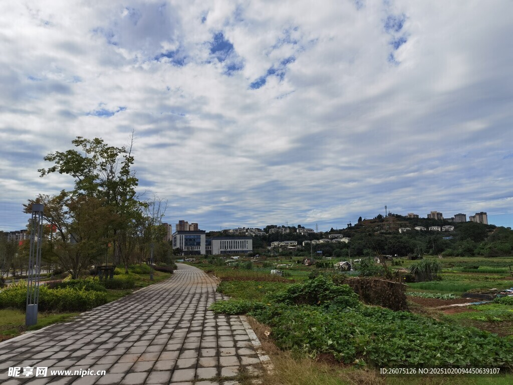 乡村田园石板路自然风光