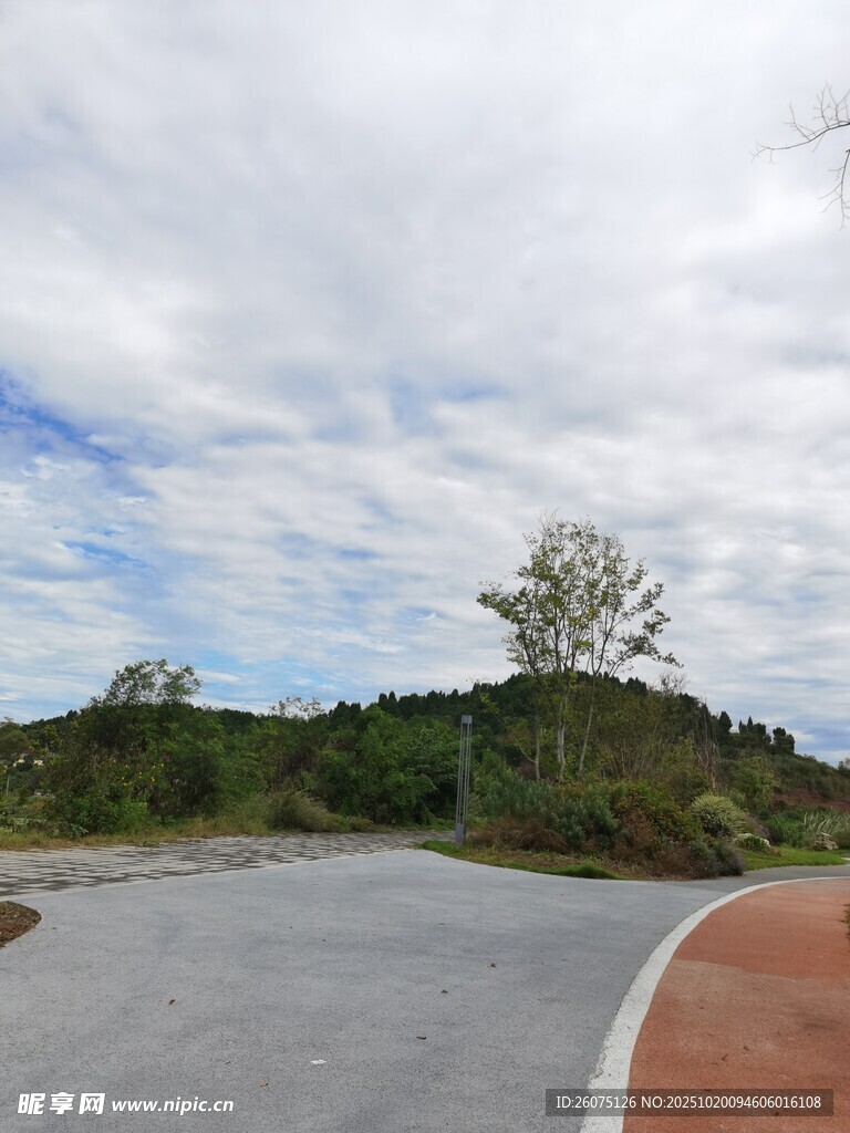 蜿蜒公路旁的自然景致
