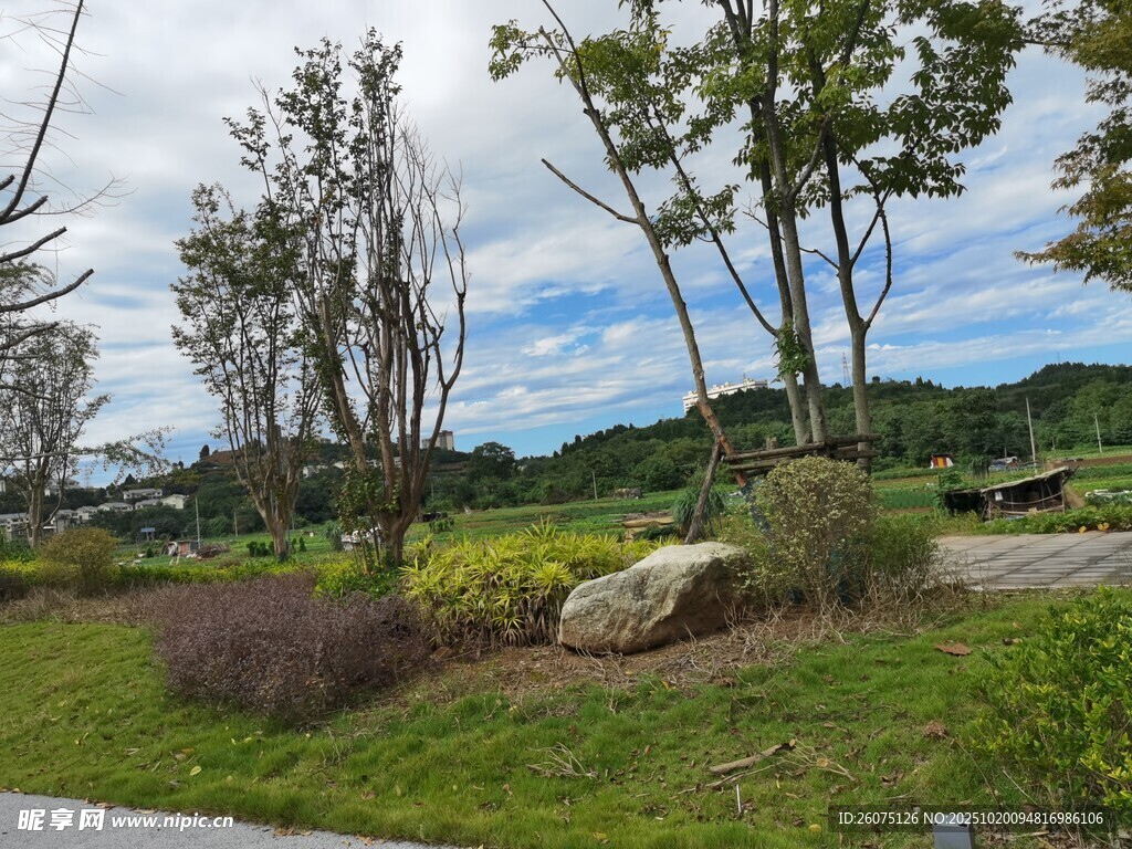 户外清新自然风景画面