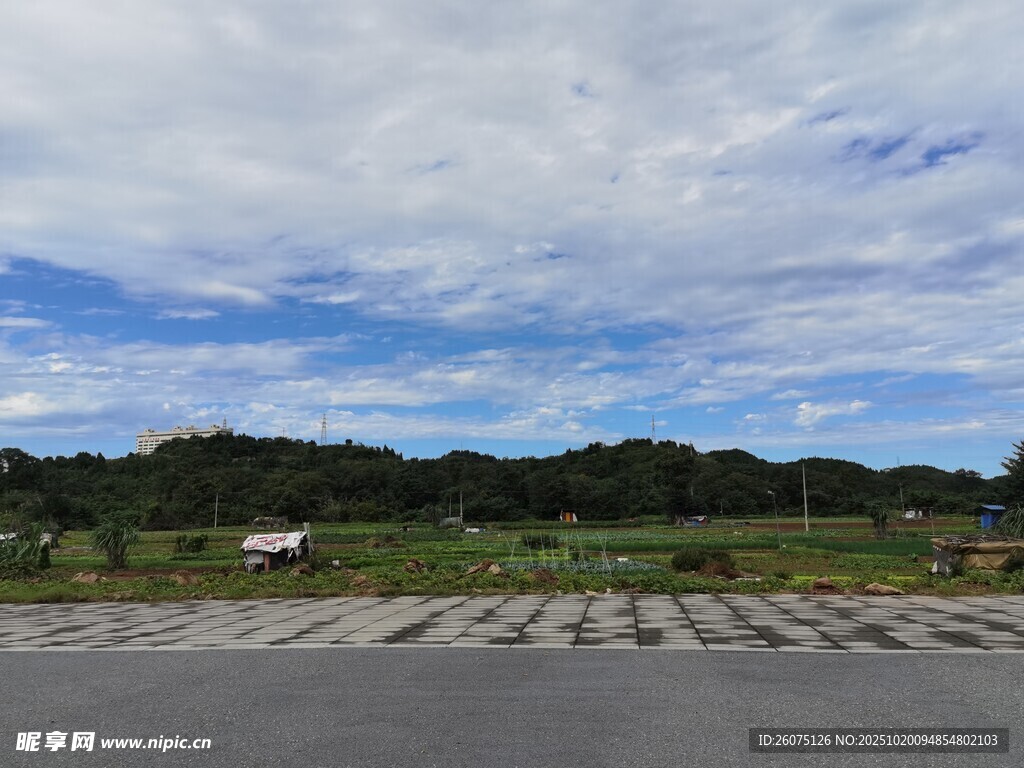 开阔田野上的蓝天白云