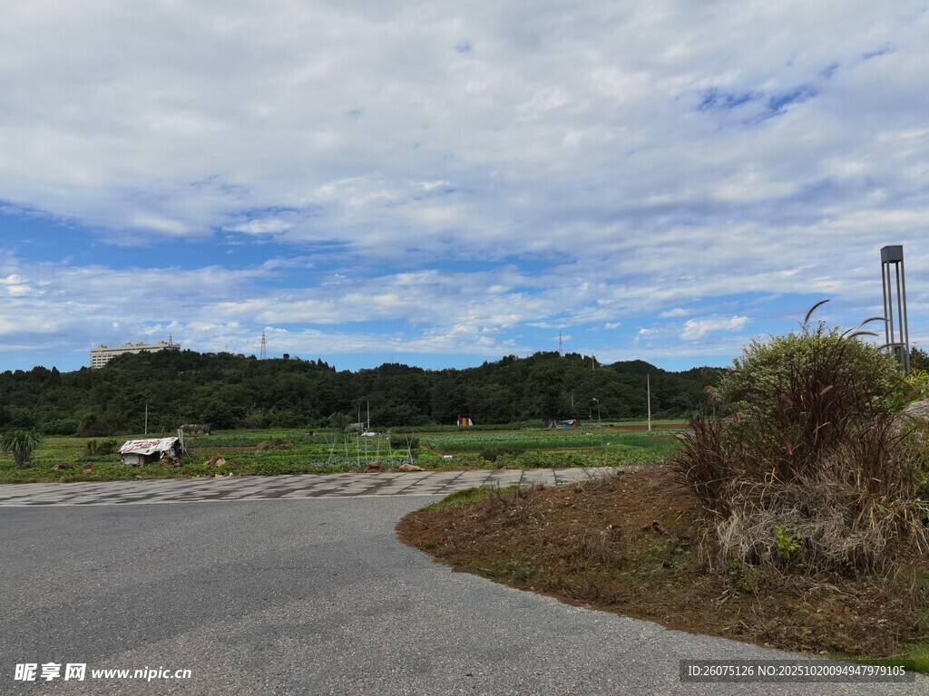 乡村公路旁的开阔风景