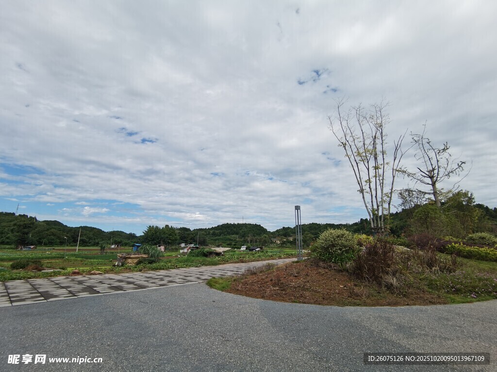 乡村道路旁的开阔风景