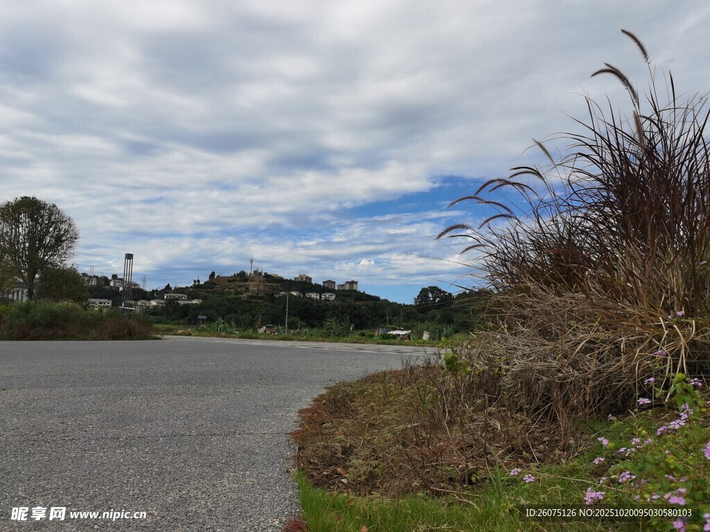 乡村路旁风景