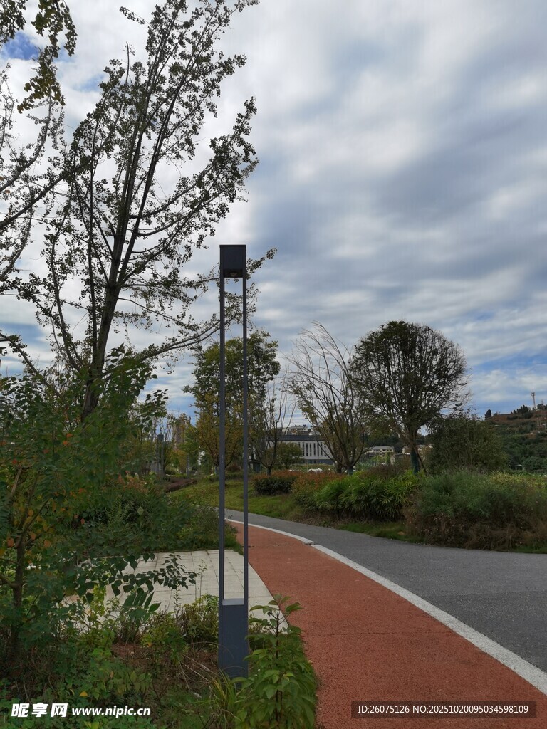 城市公园中的多彩步道景观