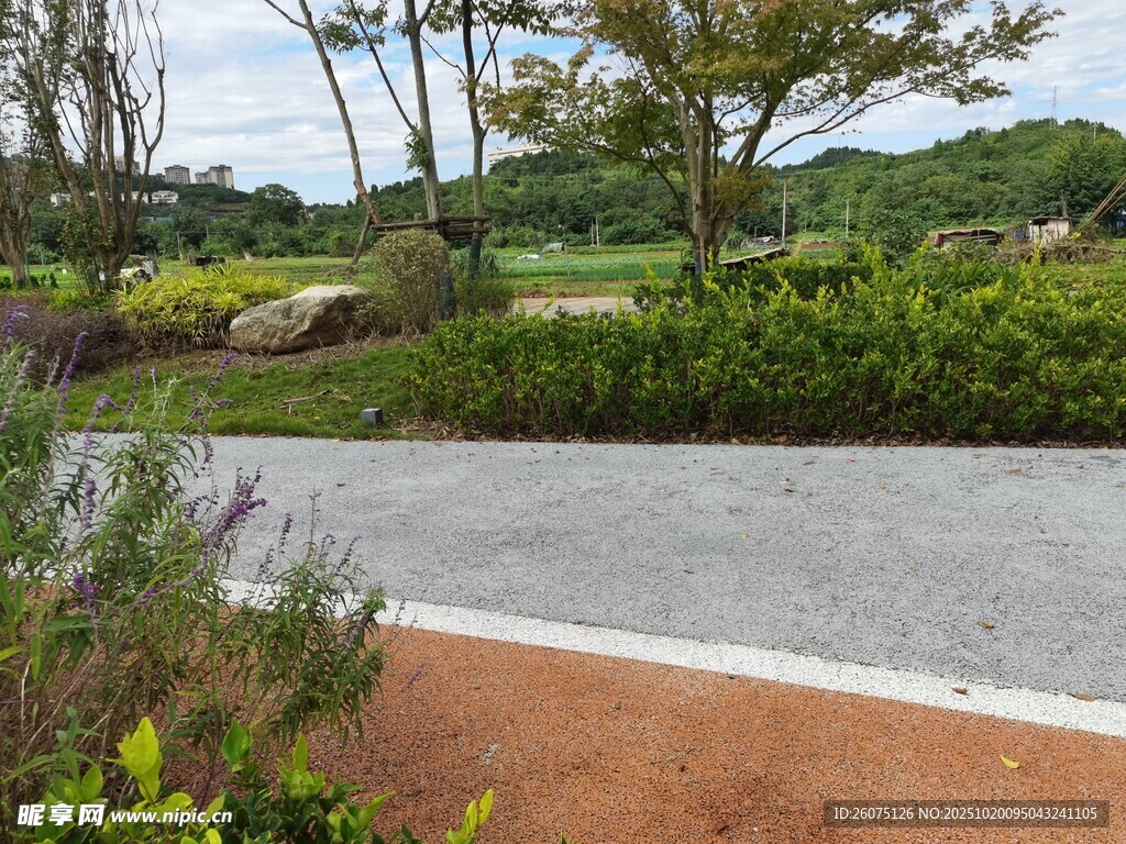 户外清新自然景观道路