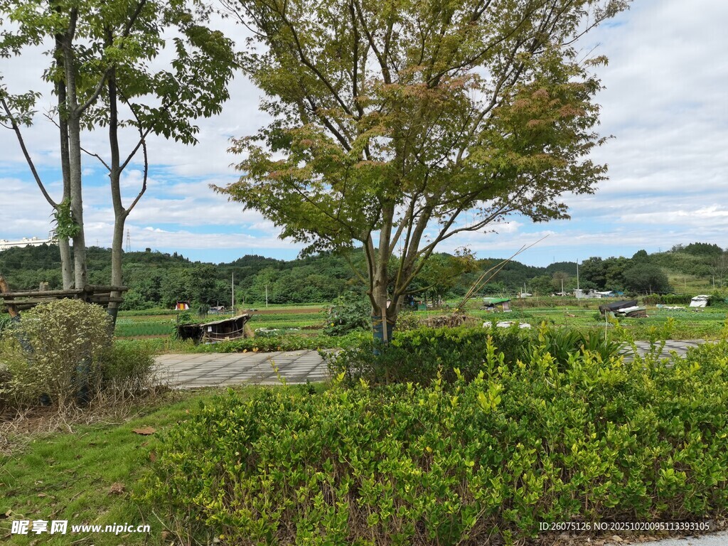 乡村田野间的自然景致