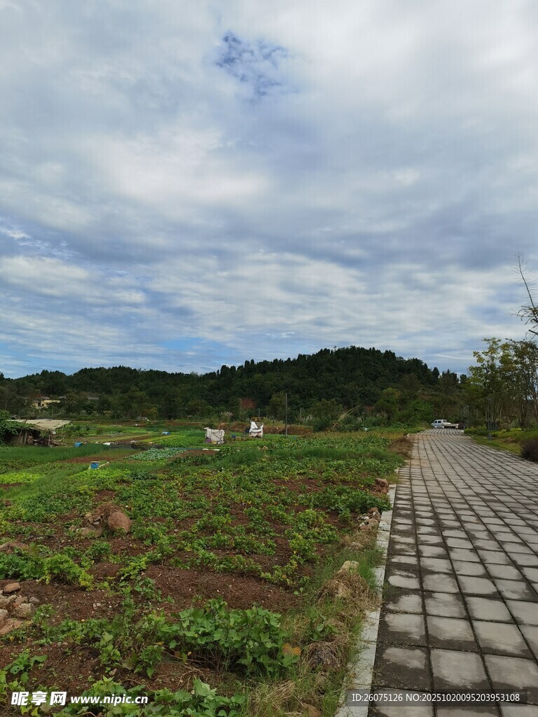 乡间石板路田园好风光
