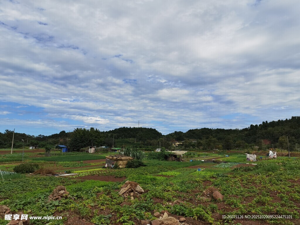 田园风光绿意盎然的田野