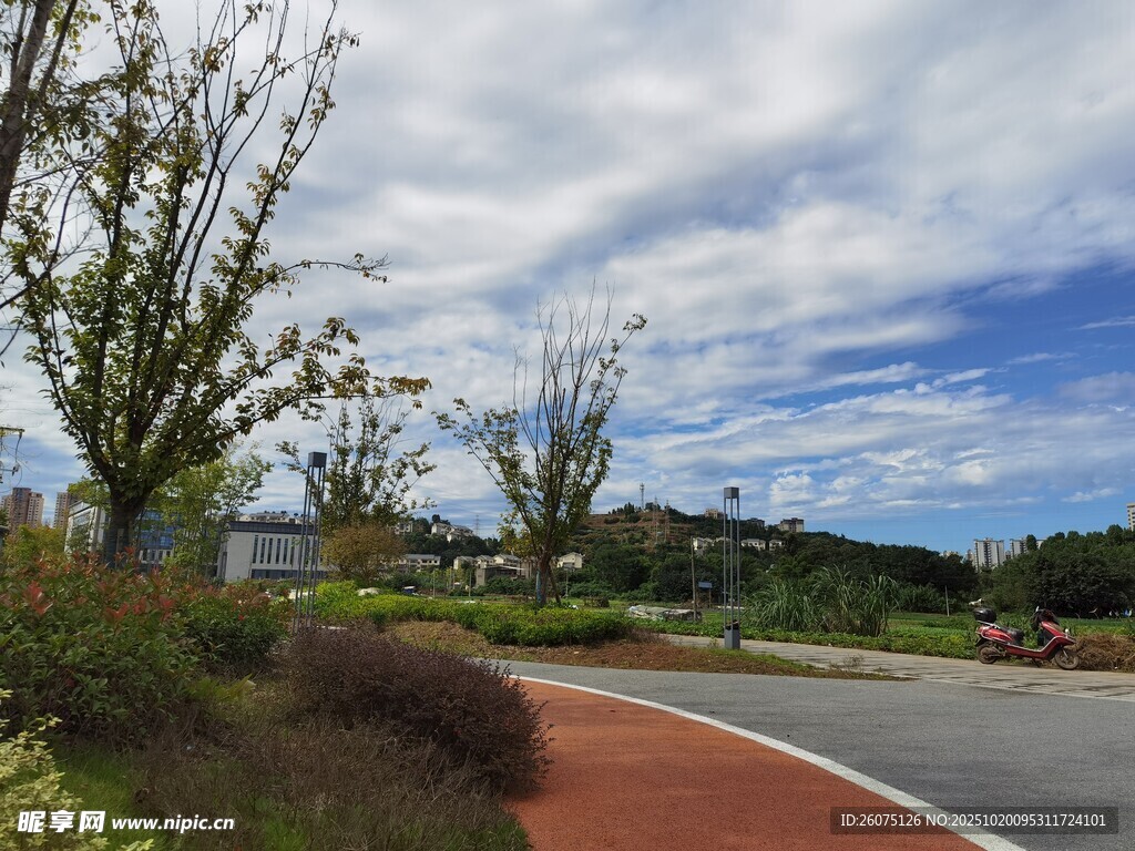 城市中的美丽户外道路景观