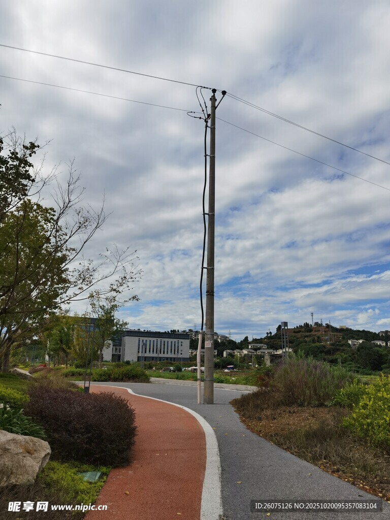 蜿蜒小路旁的自然景致