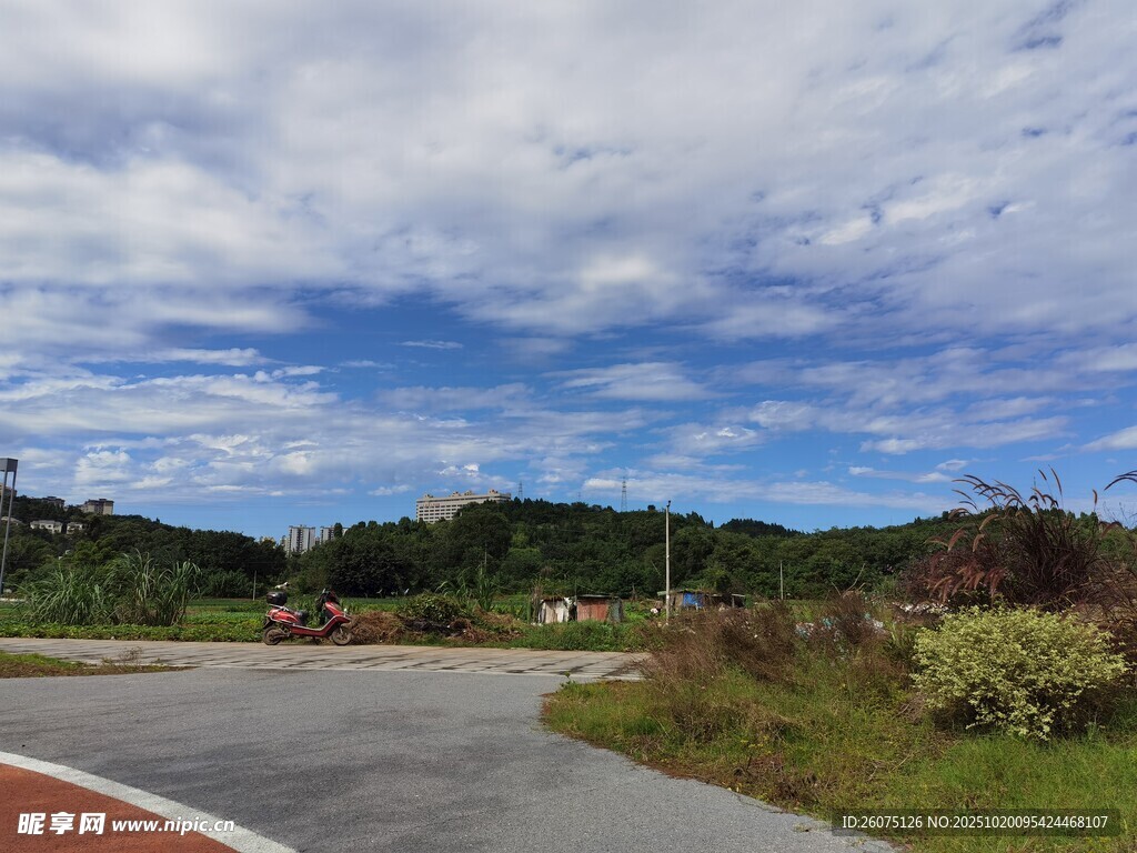 乡村公路边的自然风景