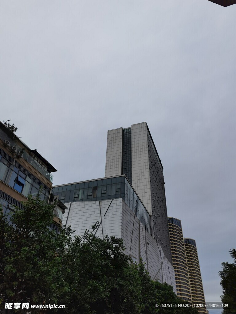 现代建筑旁的葱郁绿植