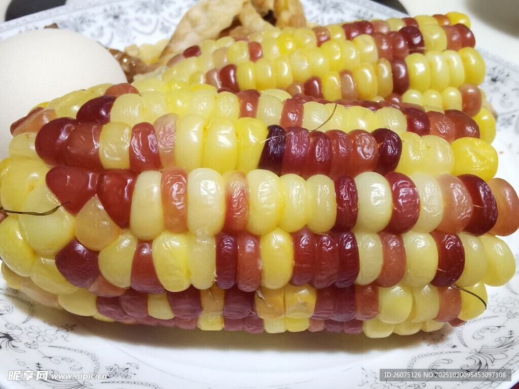 多彩甜糯玉米