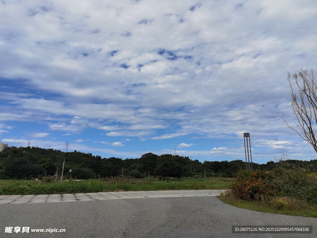 乡村公路旁的开阔风景