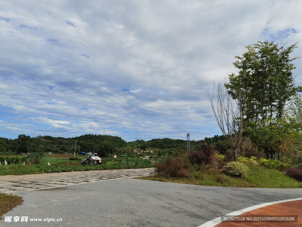 蜿蜒公路旁的自然景致