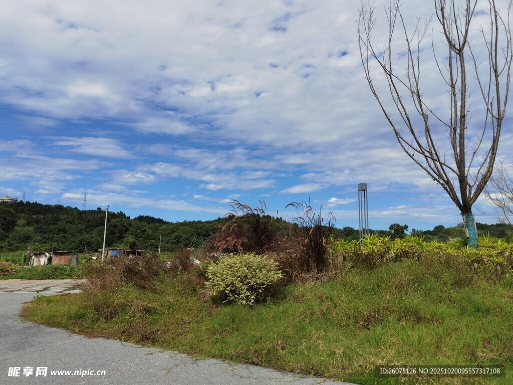 乡村旷野风景