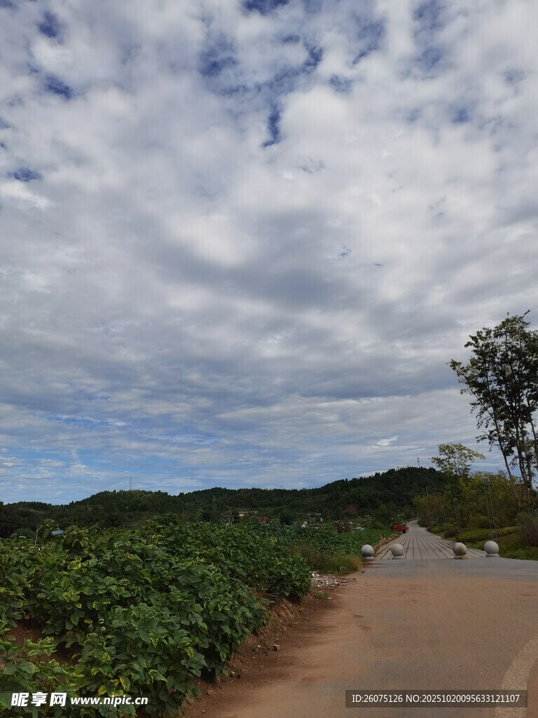 山间小路蓝天白云绿树相伴