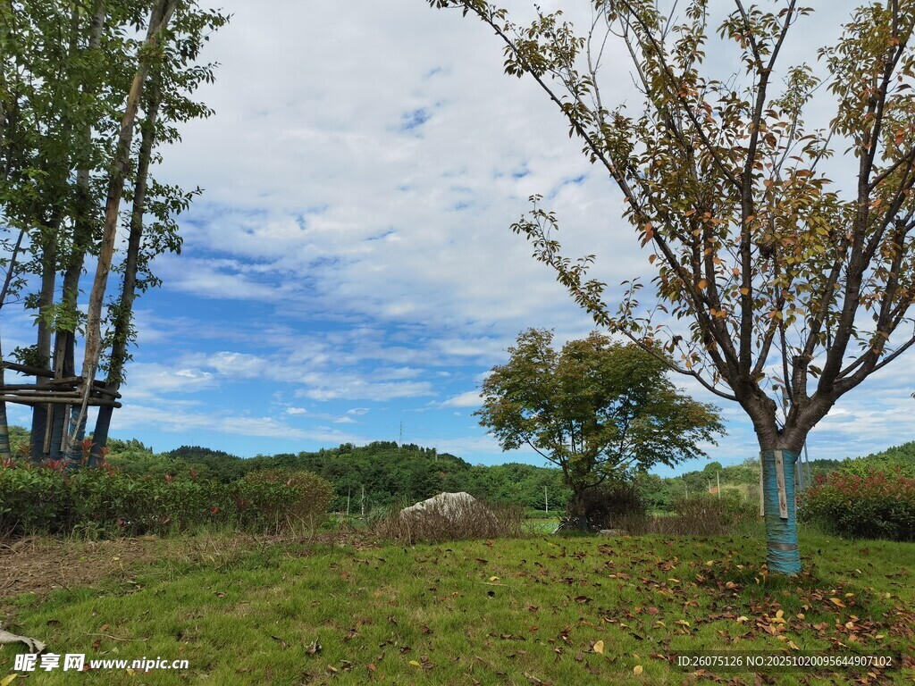 秋日郊野风景