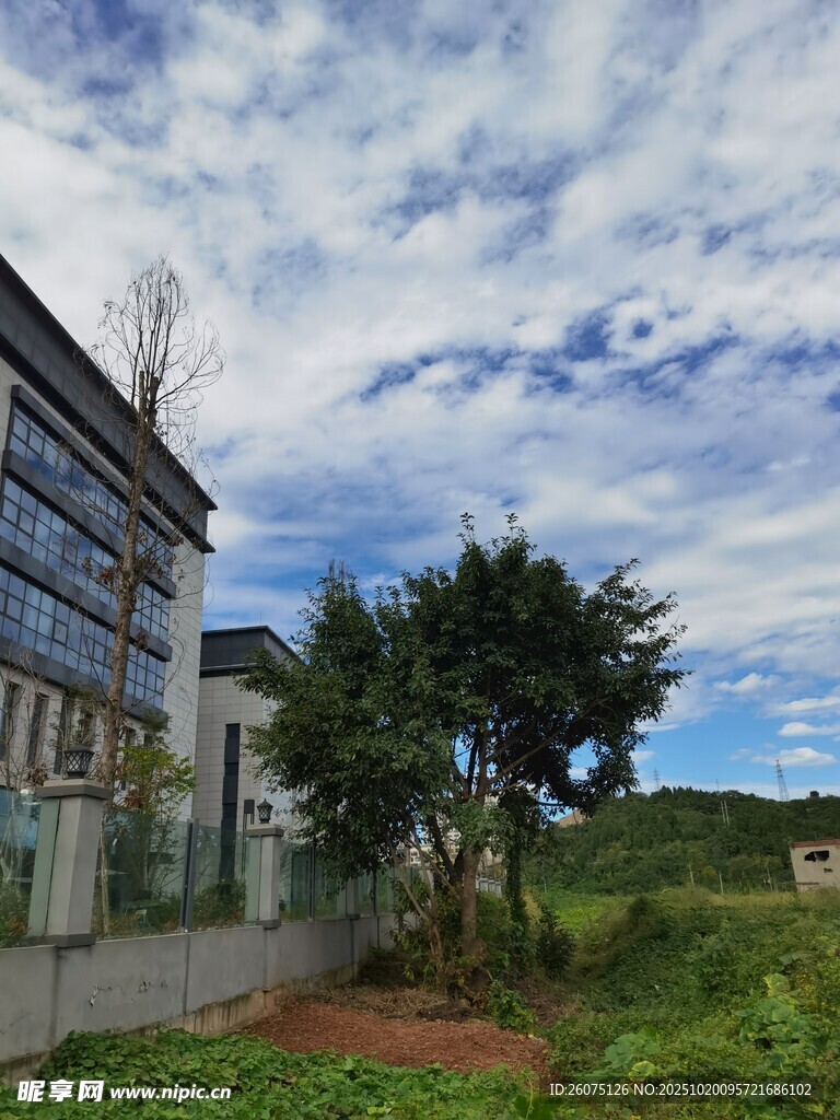 蓝天白云下的建筑与绿植