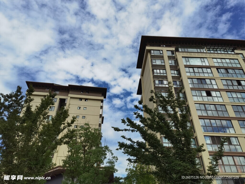 城市高楼与葱郁树木景观