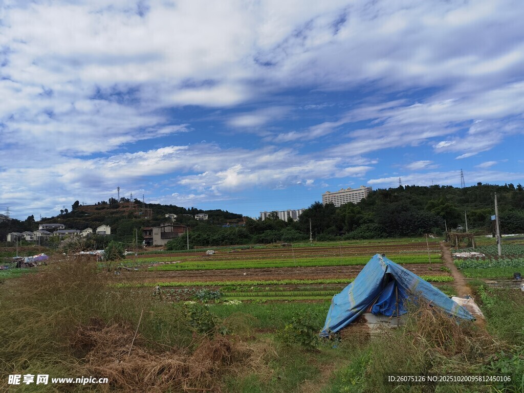 田野中的蓝色帐篷
