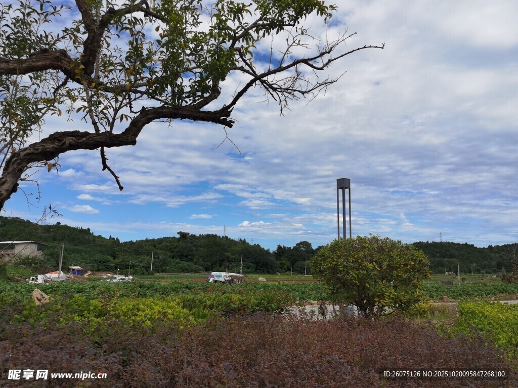 乡村田野风景图