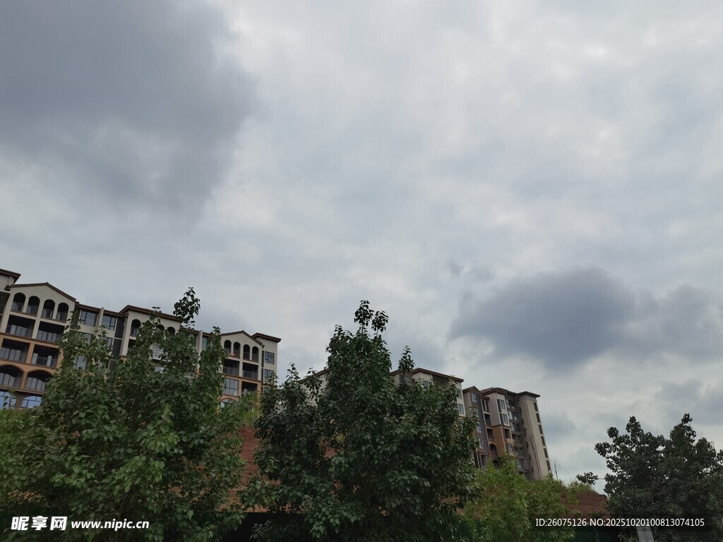 阴天城市建筑与绿树景观