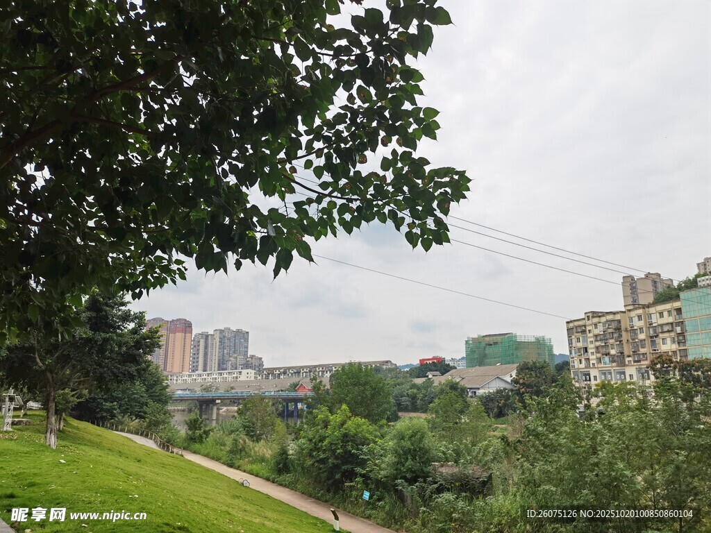 城郊绿意盎然的自然景致