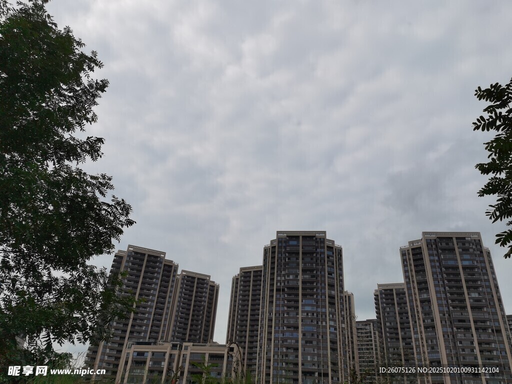 城市中的林立高楼