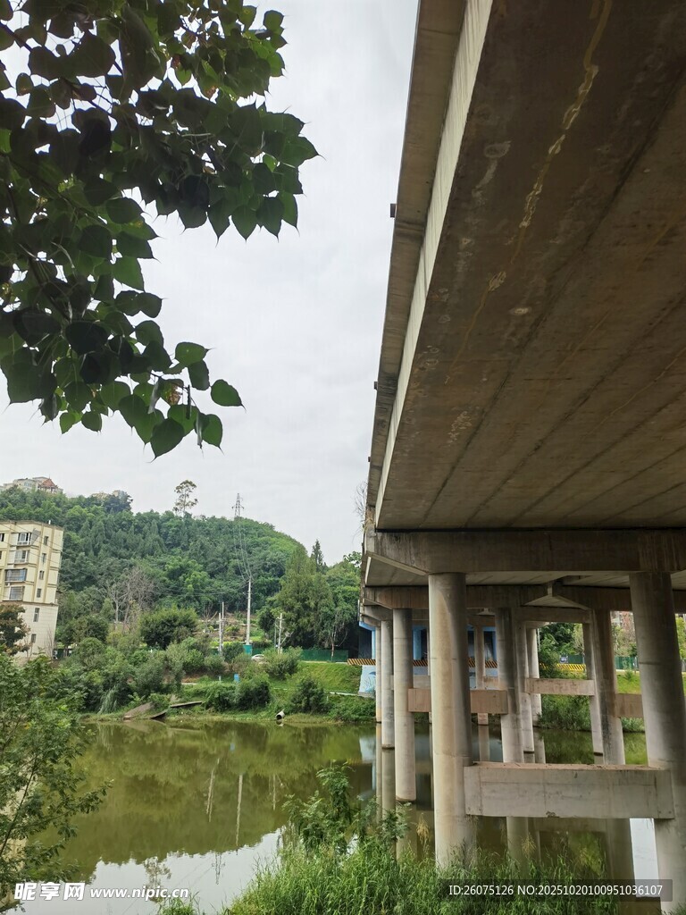 桥下河畔风景