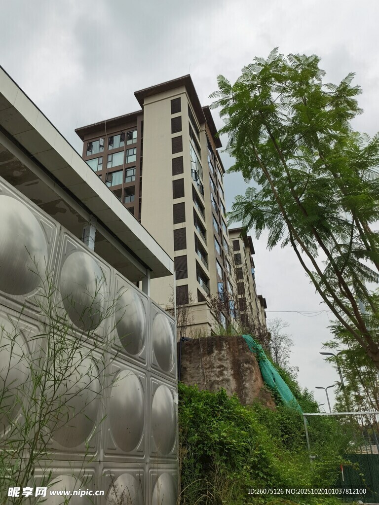 现代高楼旁的绿植景观