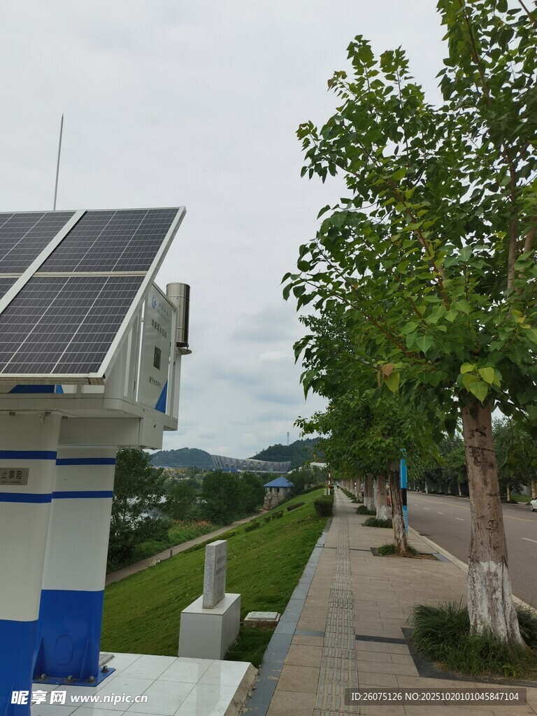 路边太阳能设施与绿树景观