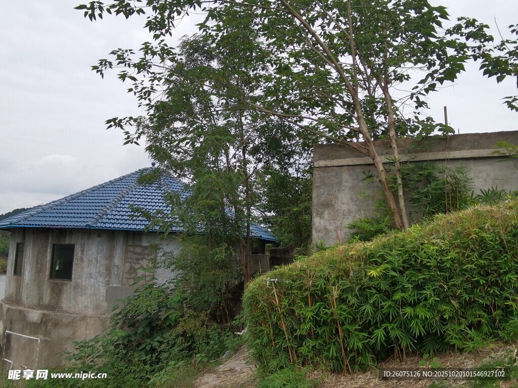 乡村小屋旁的绿植景观