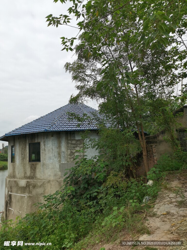 山间小屋隐于绿意之中
