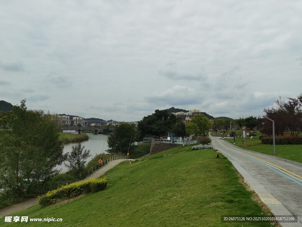乡村公路旁的清新景致